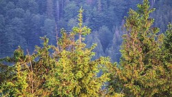 Chata Severka - Dolní Lomná