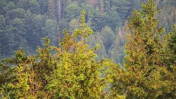 Chata Severka - Dolní Lomná