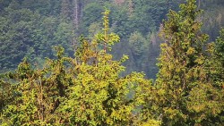 Chata Severka - Dolní Lomná
