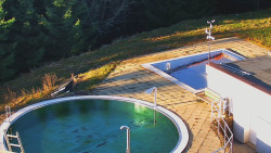 Chata Severka - Dolní Lomná