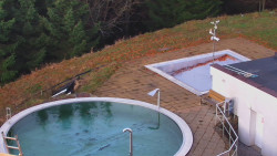 Chata Severka - Dolní Lomná