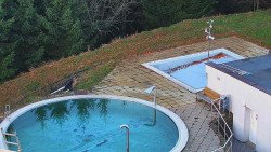 Chata Severka - Dolní Lomná