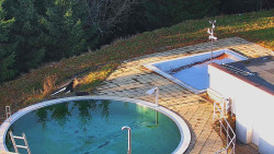 Chata Severka - Dolní Lomná