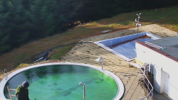 Chata Severka - Dolní Lomná