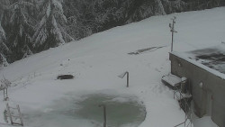 Chata Severka - Dolní Lomná