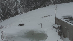 Chata Severka - Dolní Lomná