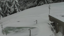 Chata Severka - Dolní Lomná