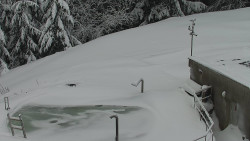 Chata Severka - Dolní Lomná