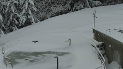 Chata Severka - Dolní Lomná