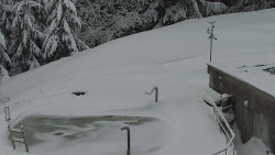 Chata Severka - Dolní Lomná