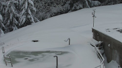 Chata Severka - Dolní Lomná