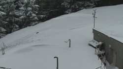 Chata Severka - Dolní Lomná