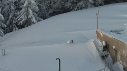 Chata Severka - Dolní Lomná