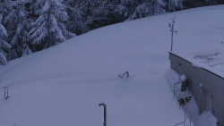 Chata Severka - Dolní Lomná