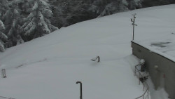 Chata Severka - Dolní Lomná