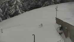 Chata Severka - Dolní Lomná