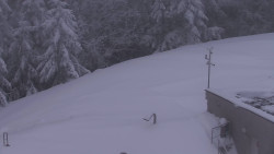 Chata Severka - Dolní Lomná