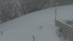 Chata Severka - Dolní Lomná