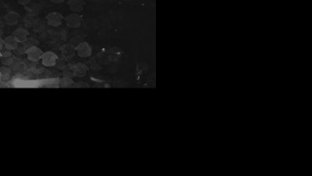 Snímek    26.10.2025 v 01:01
