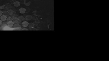 Snímek    26.10.2025 v 05:31