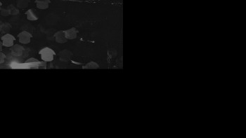Snímek    28.10.2025 v 03:01