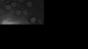 Snímek    3.11.2025 v 05:01