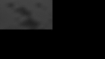 Snímek 23.11.2025 v 06:31