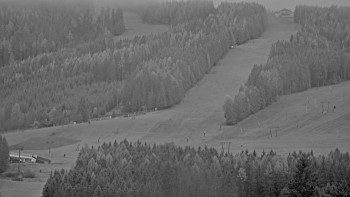 Snímek    3.11.2025 v 07:01