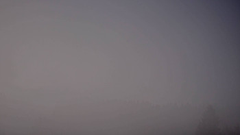 Snímek 7.11.2025 v 08:16