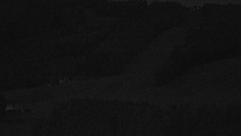 Snímek 7.11.2025 v 22:01