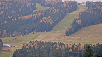 Snímek 8.11.2025 v 11:46