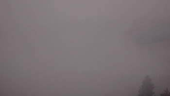 Snímek 17.11.2025 v 08:02