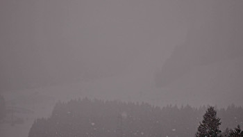 Snímek 21.11.2025 v 08:16