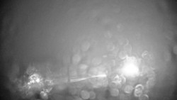 Stuhleckbahn Bergstation