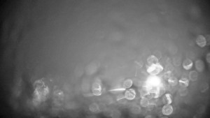 Stuhleck - Stuhleckbahn Bergstation - 23.12.2025 v 20:30 Stuhleck - Stuhleckbahn Bergstation - 23.12.2025 v 20:30