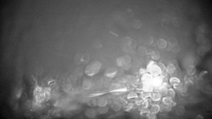 Stuhleck - Stuhleckbahn Bergstation - 23.12.2025 v 20:45 Stuhleck - Stuhleckbahn Bergstation - 23.12.2025 v 20:45