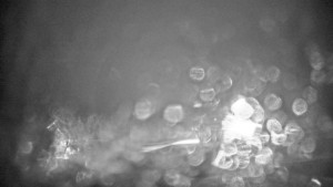 Stuhleck - Stuhleckbahn Bergstation - 23.12.2025 v 21:00 Stuhleck - Stuhleckbahn Bergstation - 23.12.2025 v 21:00