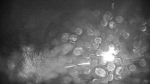 Stuhleck - Stuhleckbahn Bergstation - 23.12.2025 v 21:15 Stuhleck - Stuhleckbahn Bergstation - 23.12.2025 v 21:15