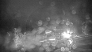 Stuhleck - Stuhleckbahn Bergstation - 23.12.2025 v 21:30 Stuhleck - Stuhleckbahn Bergstation - 23.12.2025 v 21:30