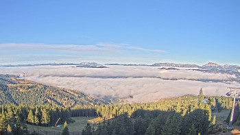 Snímek    1.11.2025 v 08:45