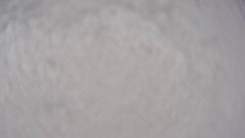 Snímek    3.11.2025 v 07:15