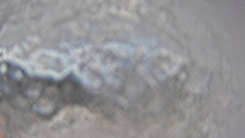 Snímek    3.11.2025 v 13:00