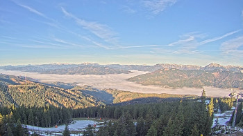 Snímek 5.11.2025 v 08:15