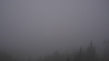 Snímek 7.11.2025 v 06:15