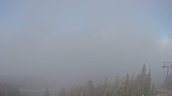 Snímek 7.11.2025 v 08:30