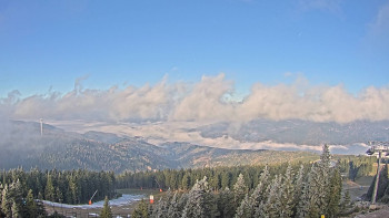 Snímek 7.11.2025 v 09:15