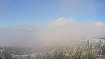 Snímek 7.11.2025 v 09:45