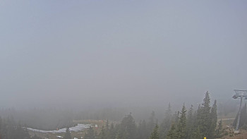 Snímek 7.11.2025 v 11:15