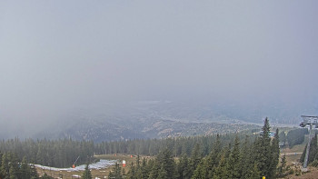 Snímek 7.11.2025 v 11:30