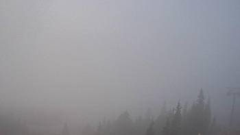 Snímek 7.11.2025 v 17:00